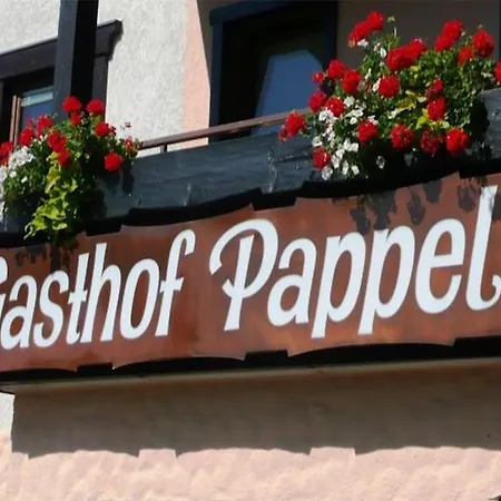 Hotel Hotel Pappel
