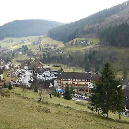 Hotel Pappel 3*
