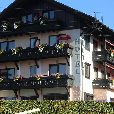 Hotel Hotel Pappel 3*