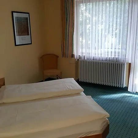 Hotel Hotel Pappel 3*