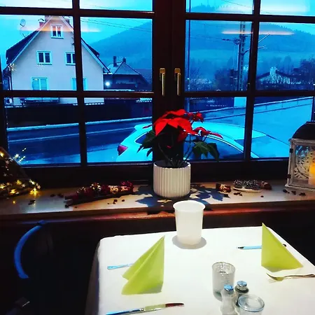 Hotel Pappel Hotel