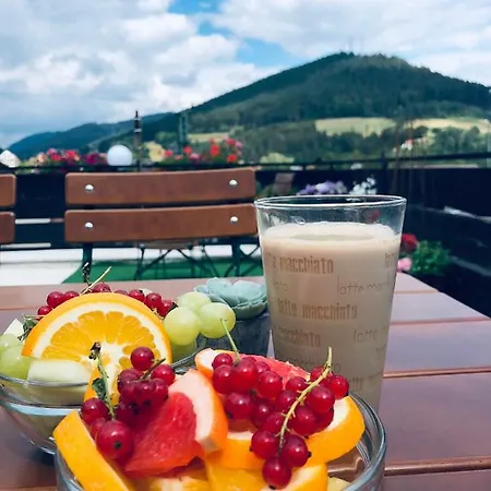 Hotel Hotel Pappel 3*